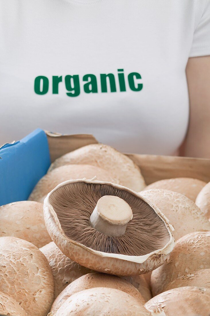 Woman holding box of fresh mushrooms