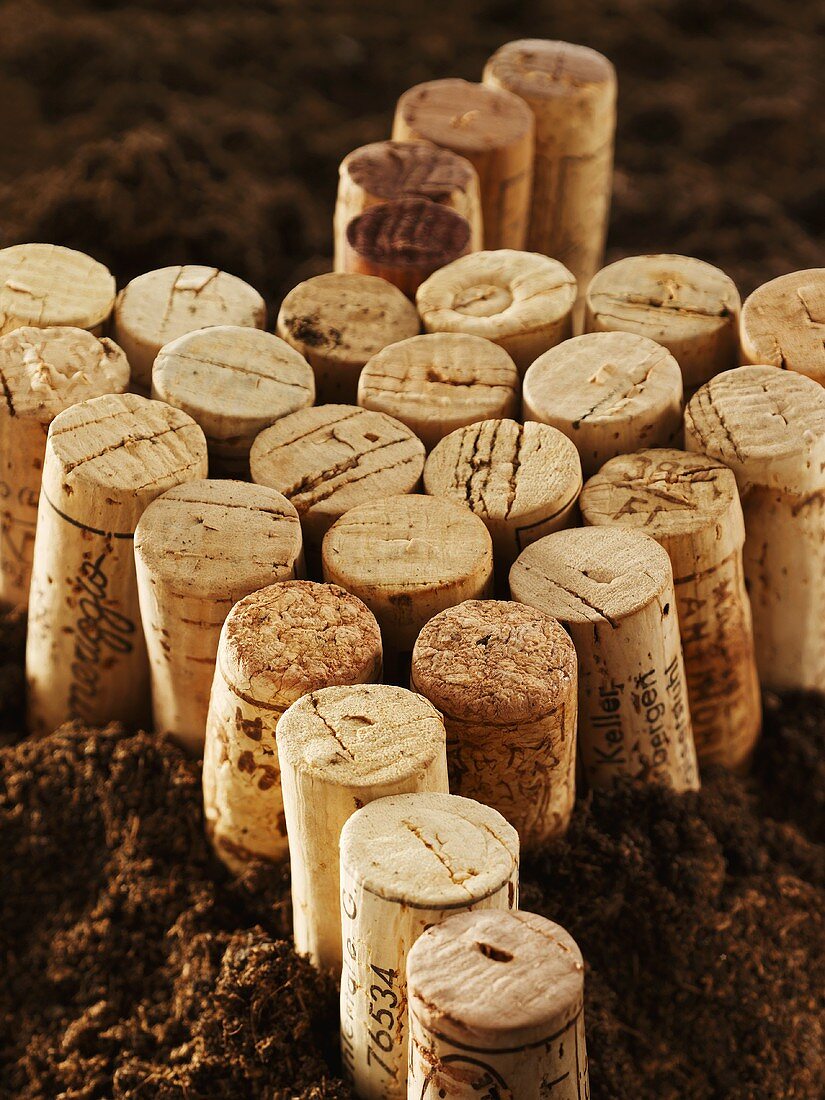 Wine corks on soil