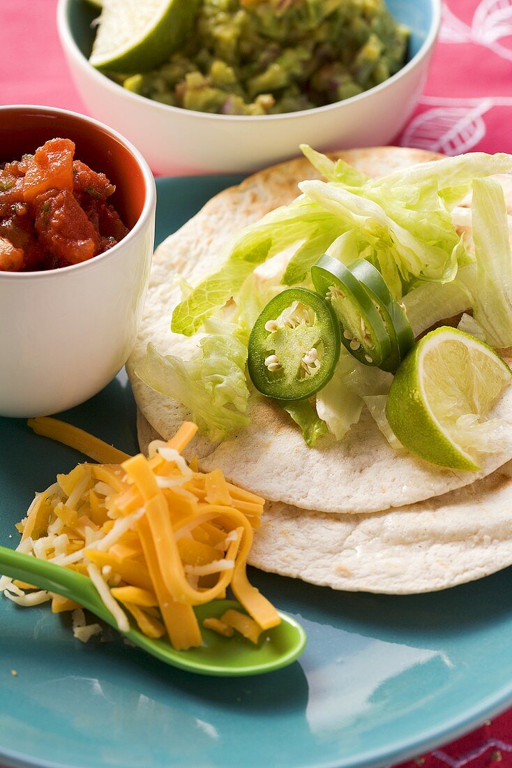 Wrap ingredients, salsa and guacamole (Mexico)