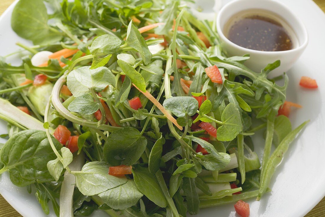 Mixed salad leaves with balsamic dressing