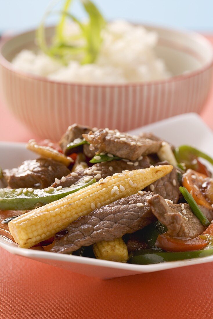 Rindfleisch mit Gemüse und Sesam, Reis im Hintergrund (Asien)