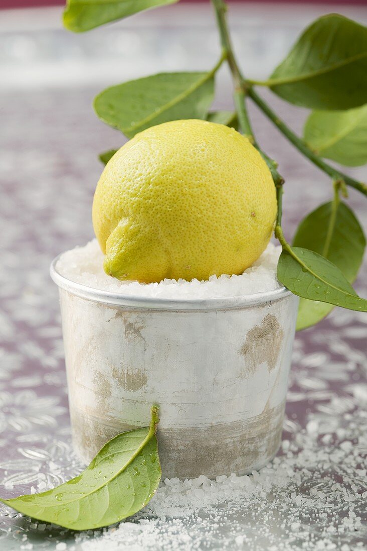 Fresh lemon in a dish of salt