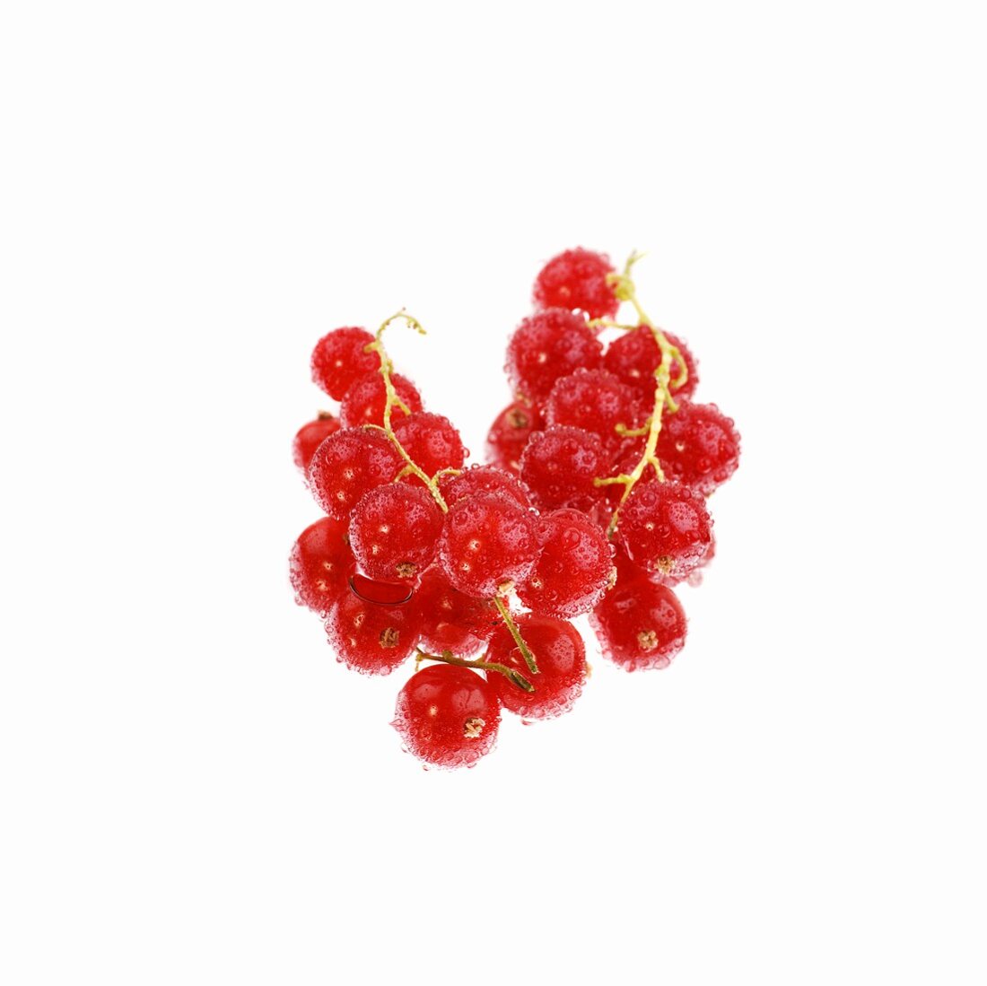 Rote Johannisbeeren mit Wassertropfen auf Spiegel