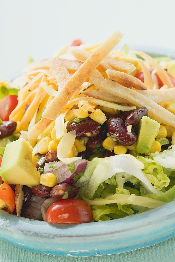Mexican salad with tortilla strips