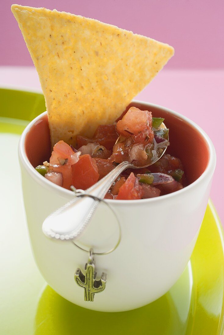 Tomato salsa in pot with spoon and nacho (Mexico)