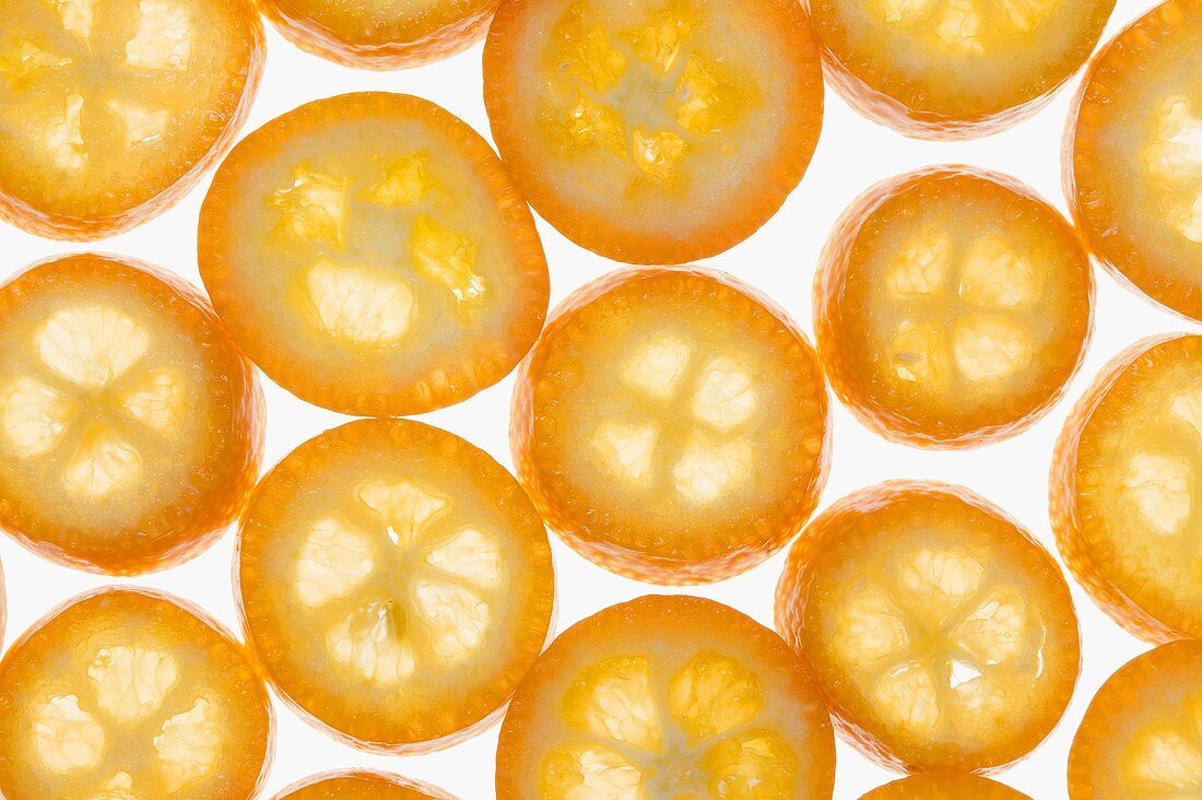 Many kumquat slices (backlit)