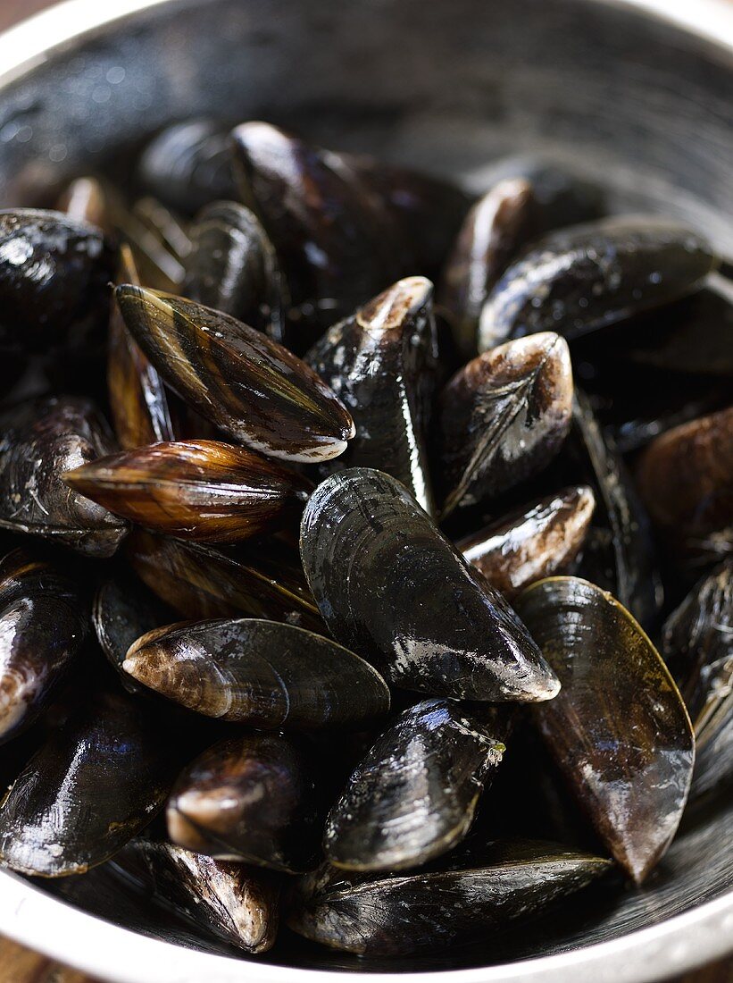 Mussels in a dish