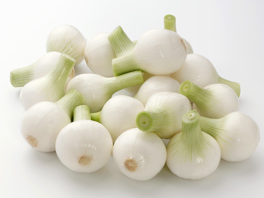 Young white onions
