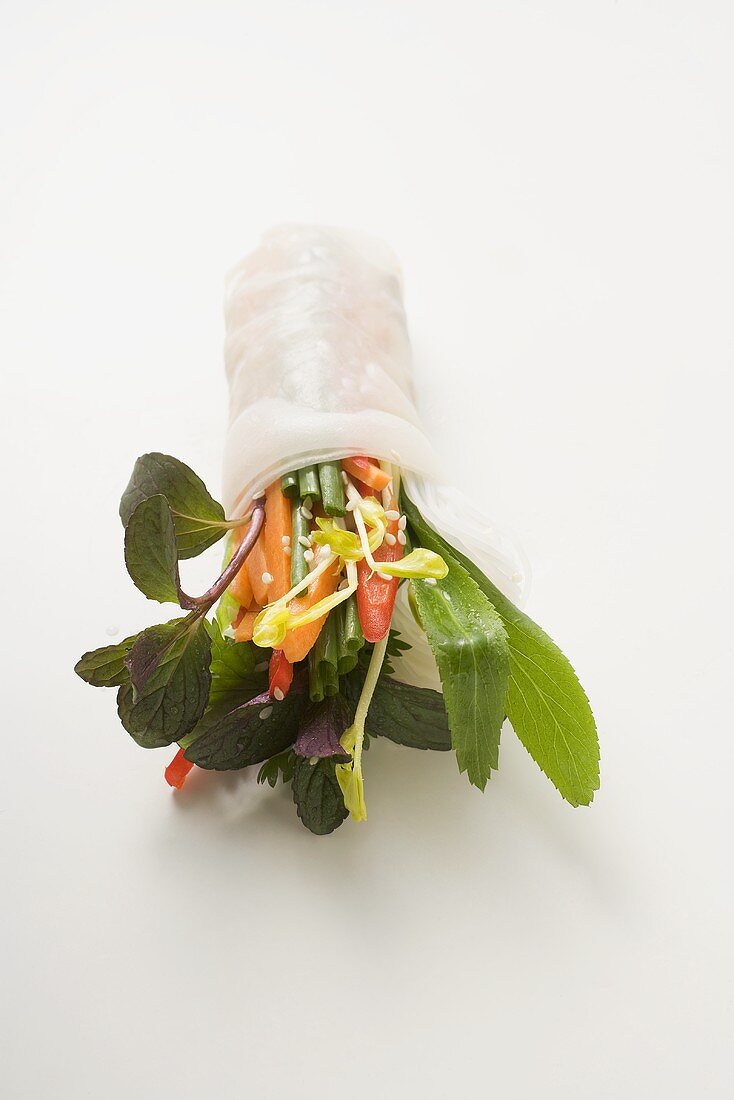Reispapierröllchen mit Gemüse, Glasnudeln und Kräutern