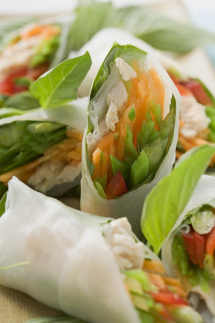 Reispapierröllchen, gefüllt mit Gemüse und Hähnchen (Asien)
