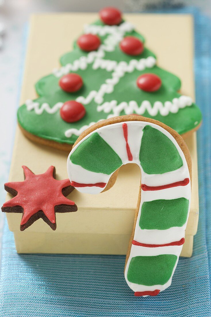 Assorted Christmas biscuits with box