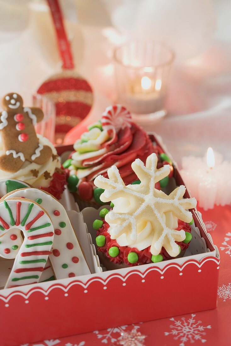 Cupcakes and Christmas biscuits to give as a gift