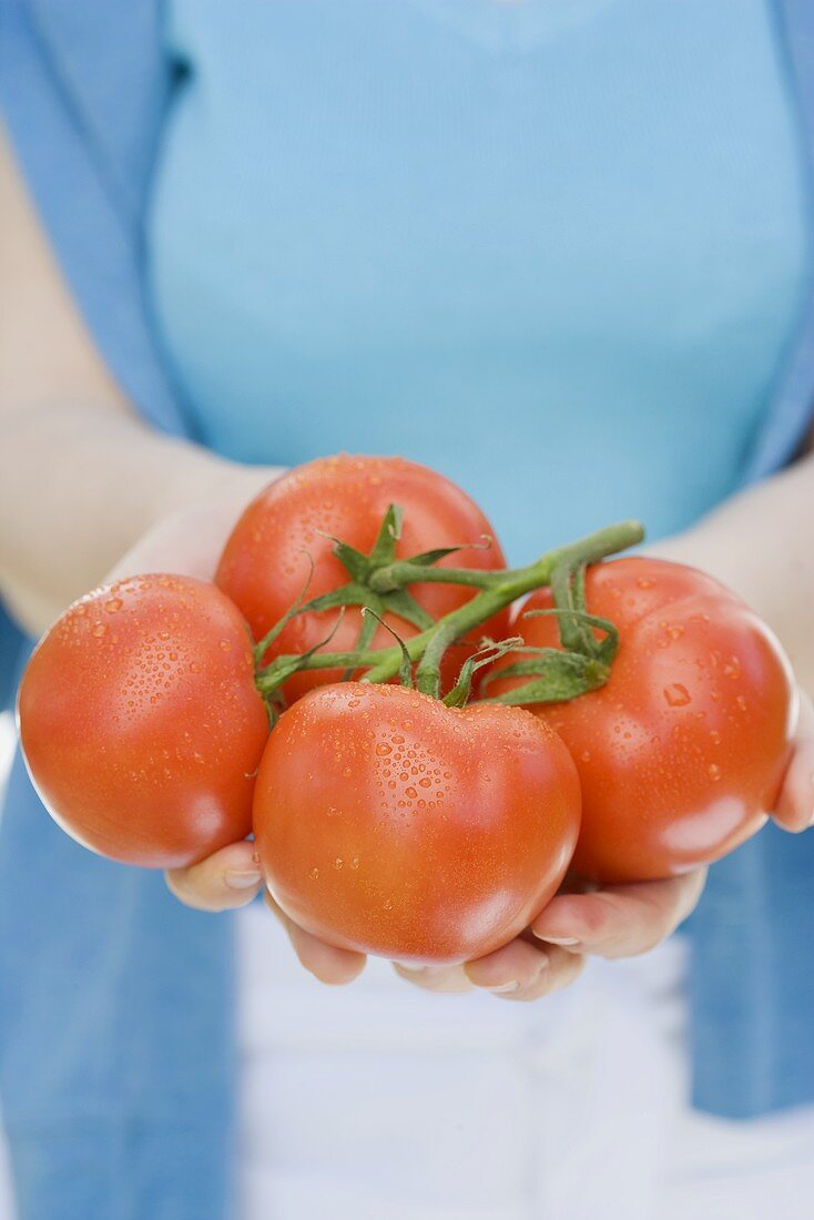 Woman holding fresh tomatoes