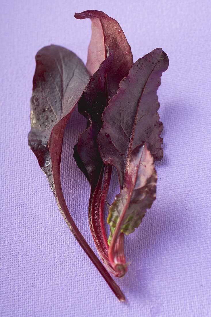 Beetroot leaves