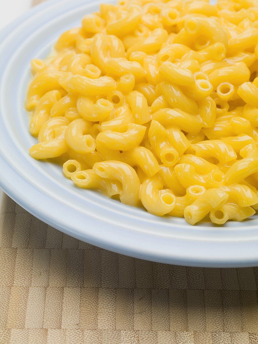 Macaroni and cheese on blue plate (USA)