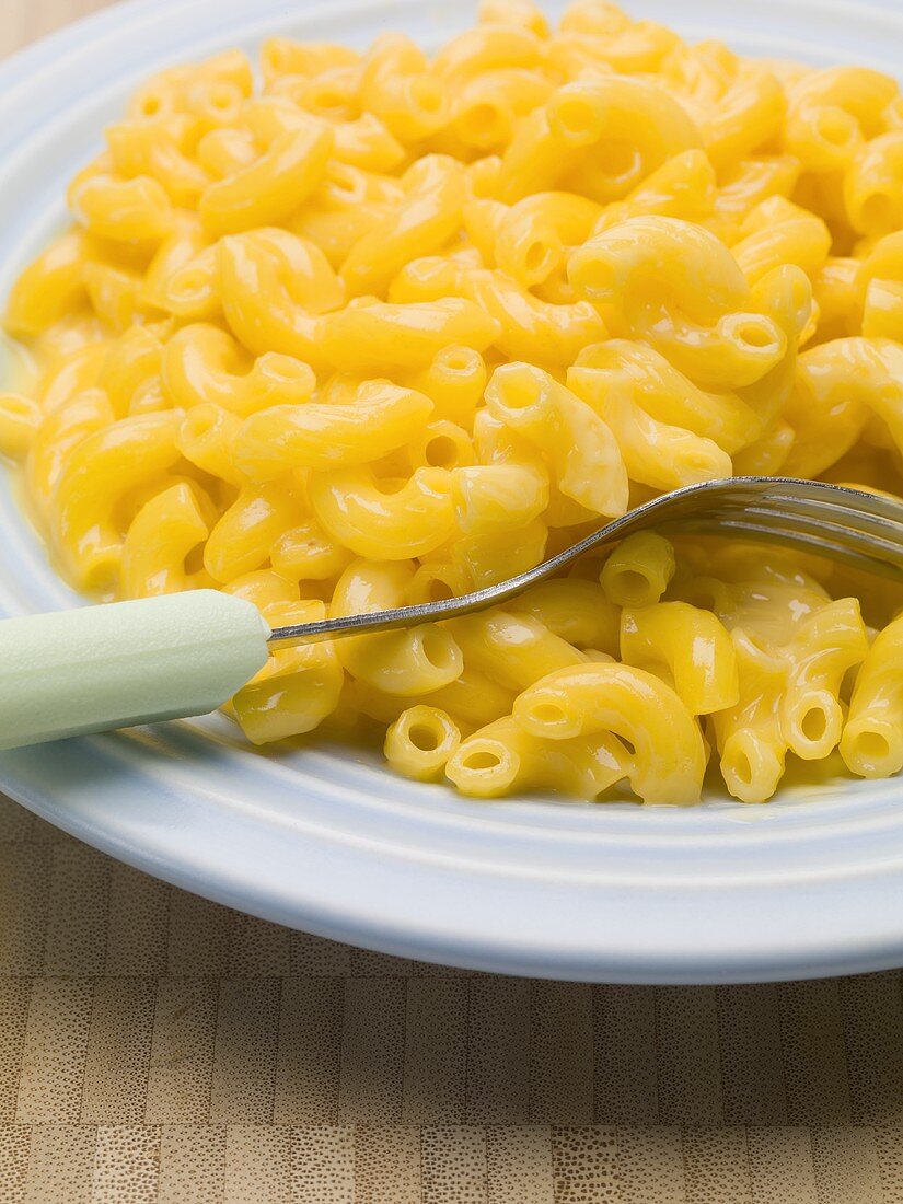 Maccheroni and cheese auf blauem Teller mit Gabel (USA)