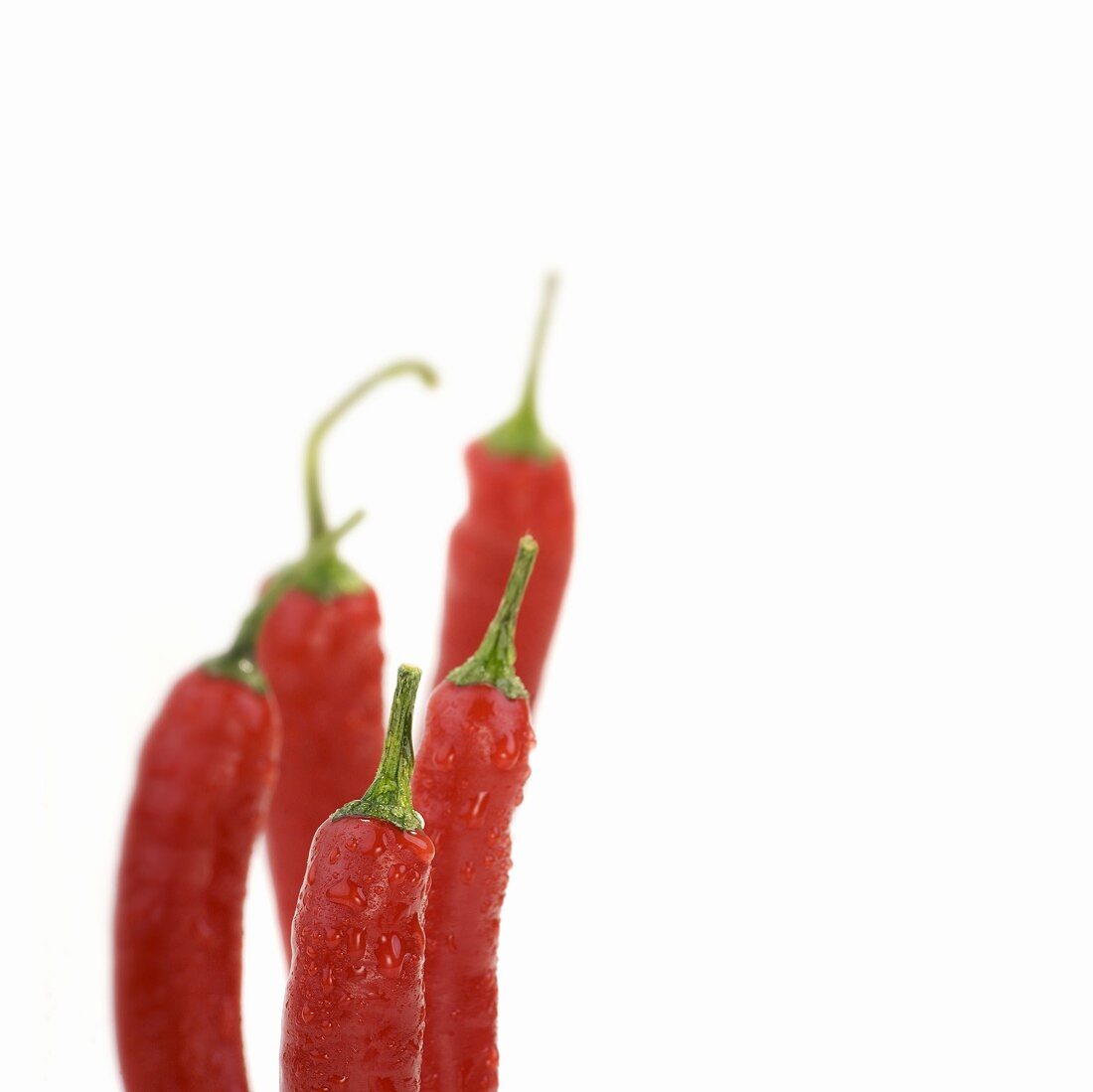 Red chillies with drops of water