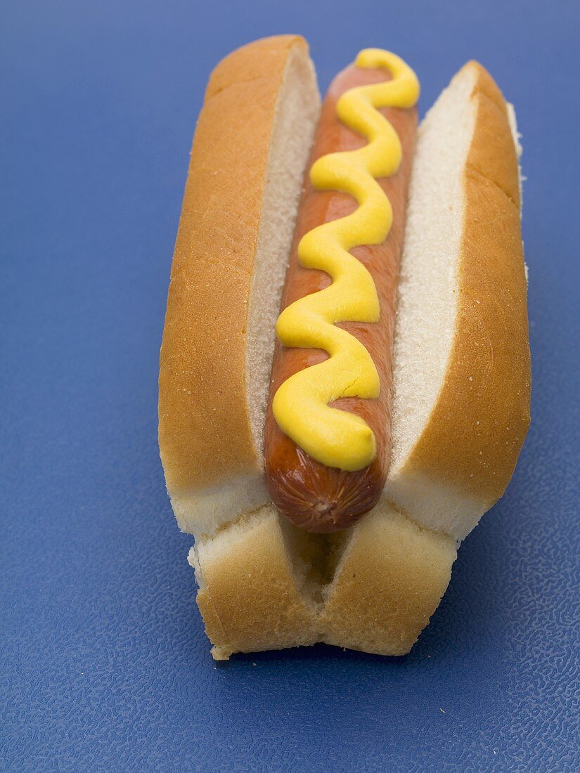 Hot Dog mit Senf auf blauem Hintergrund