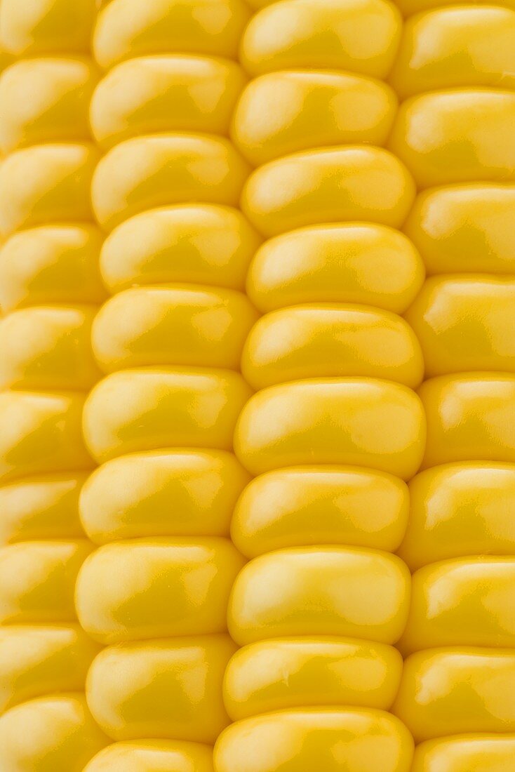 Corn on the cob (detail)