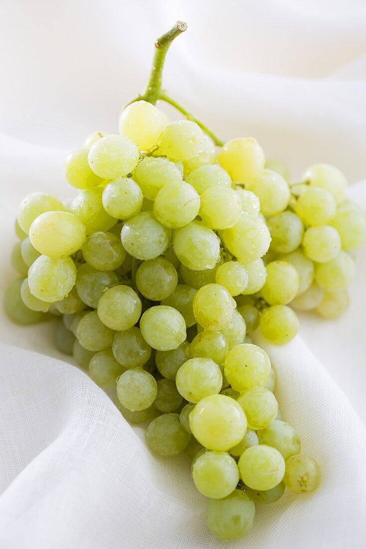 Fresh green grapes on white cloth