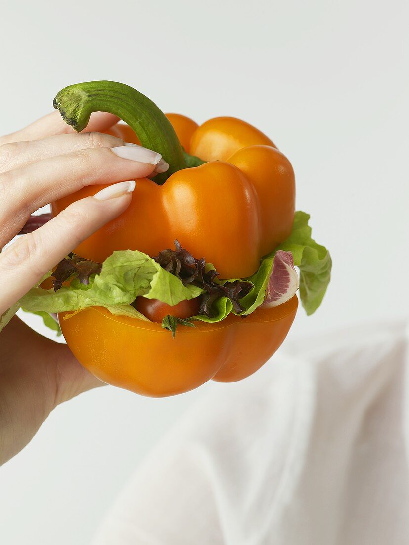 Hand holding a pepper filled with salad