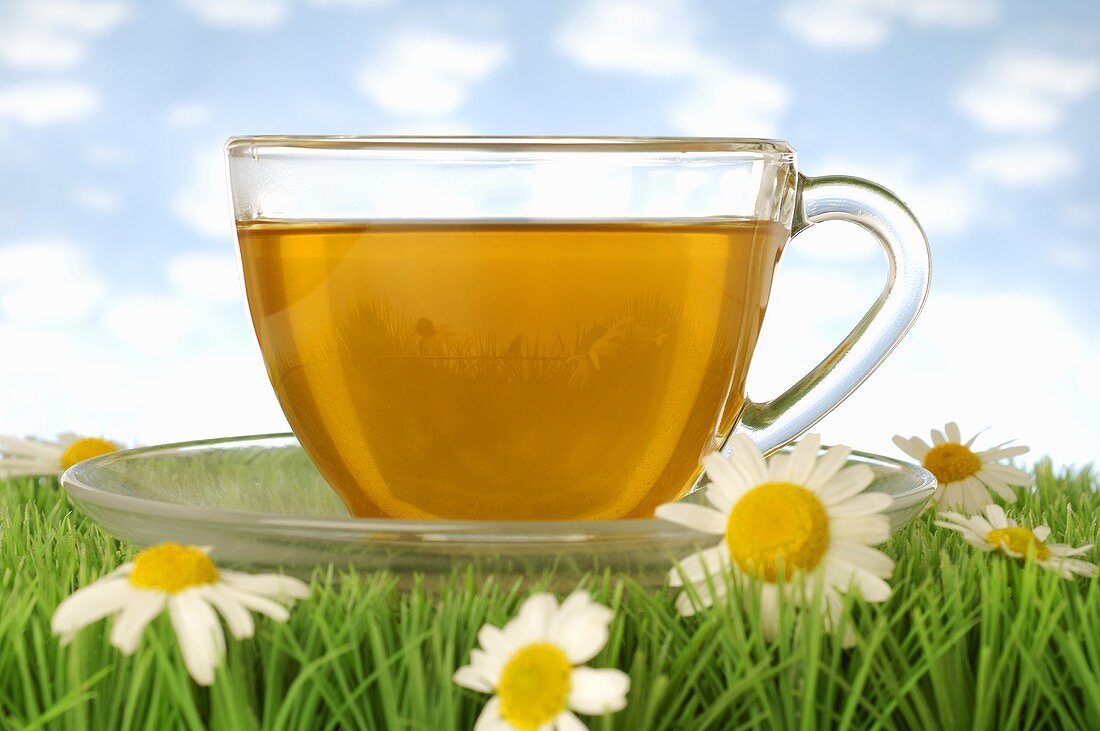 Cup of chamomile tea on grass with chamomile flowers