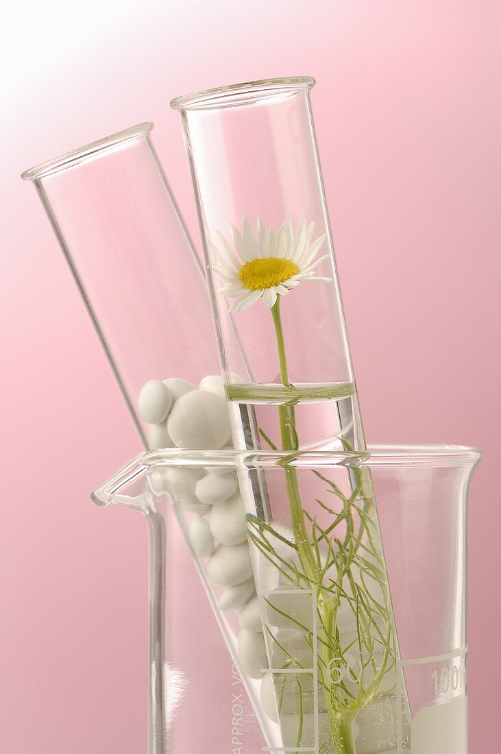Chamomile flowers and tablets in glass tubes