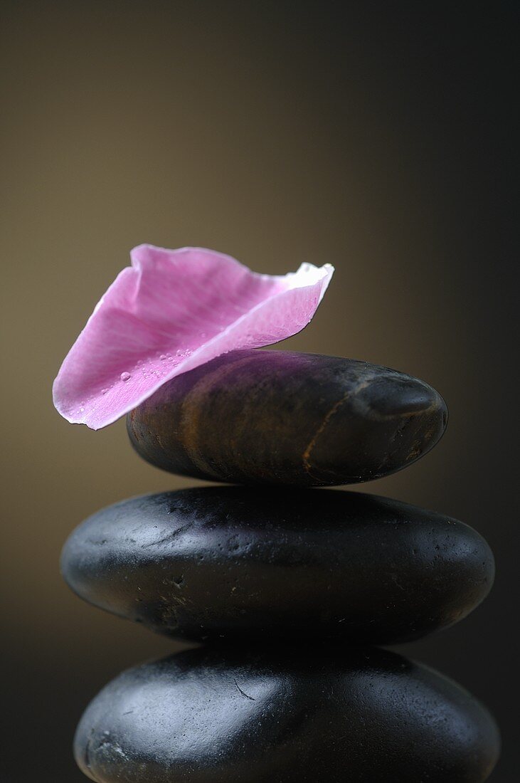 Warm stones and a flower petal