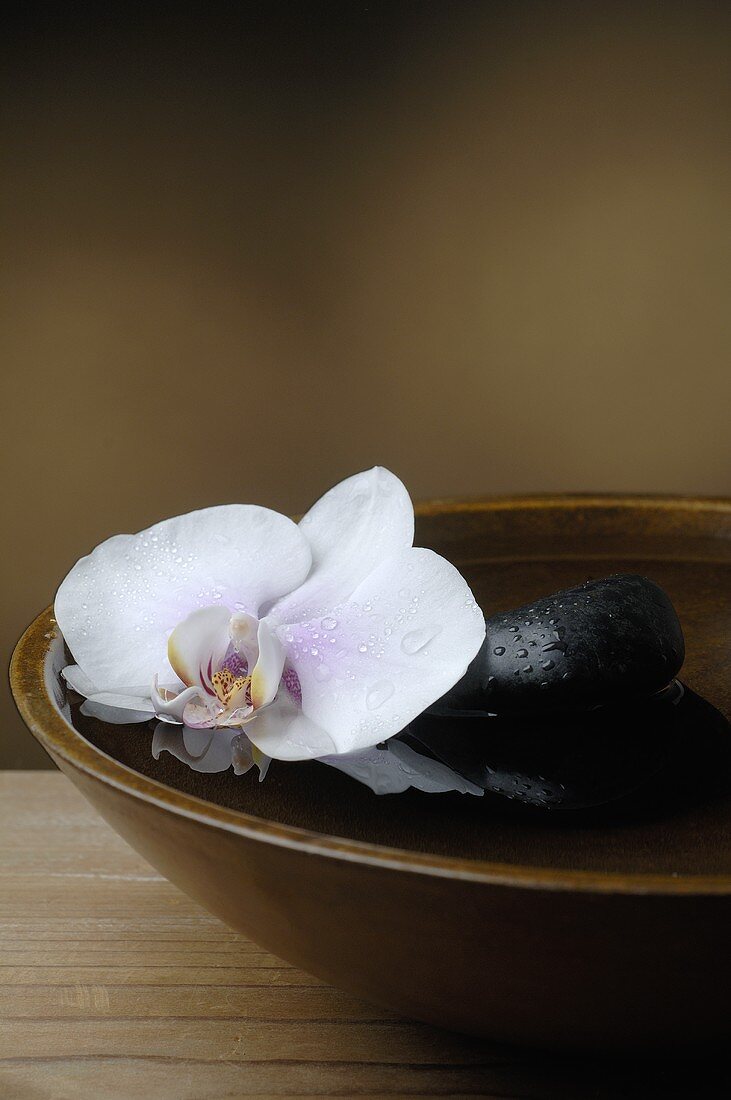 Holzschale mit Wasser, Heilsteinen und Orchidee