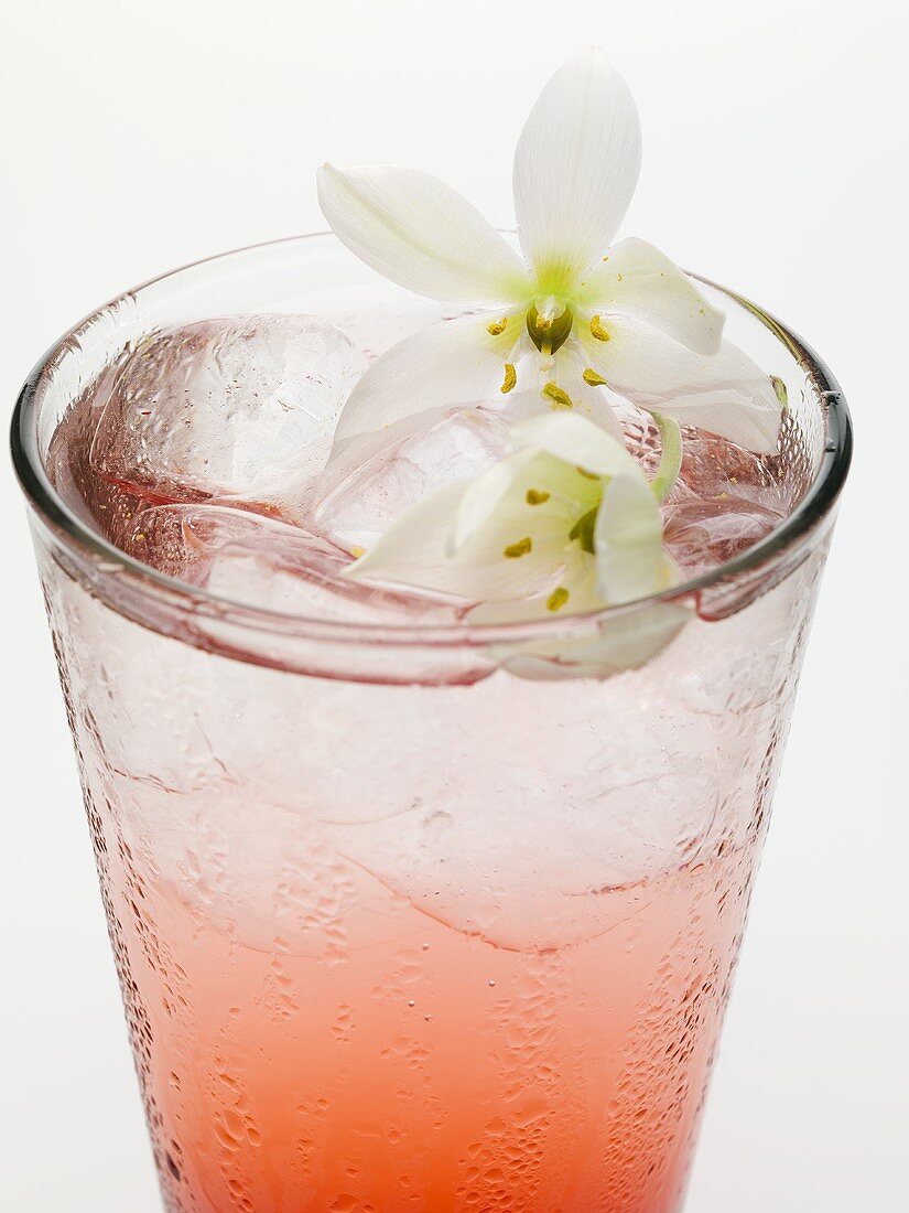 Tequila Sunrise mit Eiswürfeln und Blüten