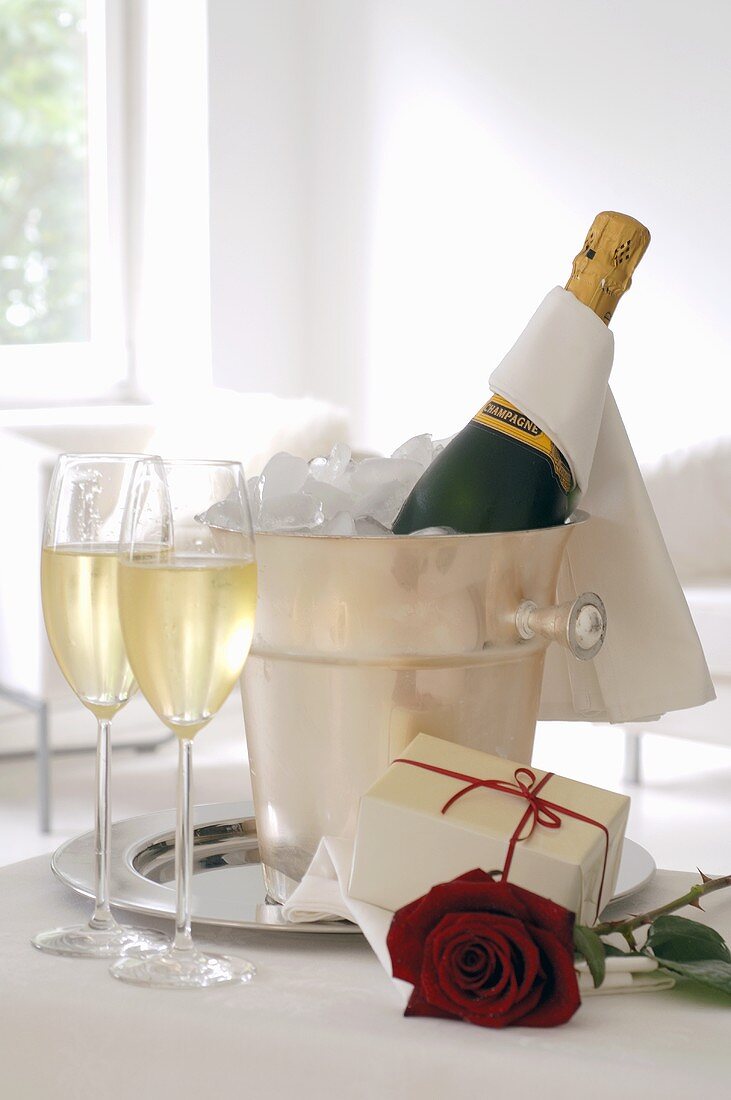 Champagnerflasche im Kühler, Gläser, Geschenk und rote Rose