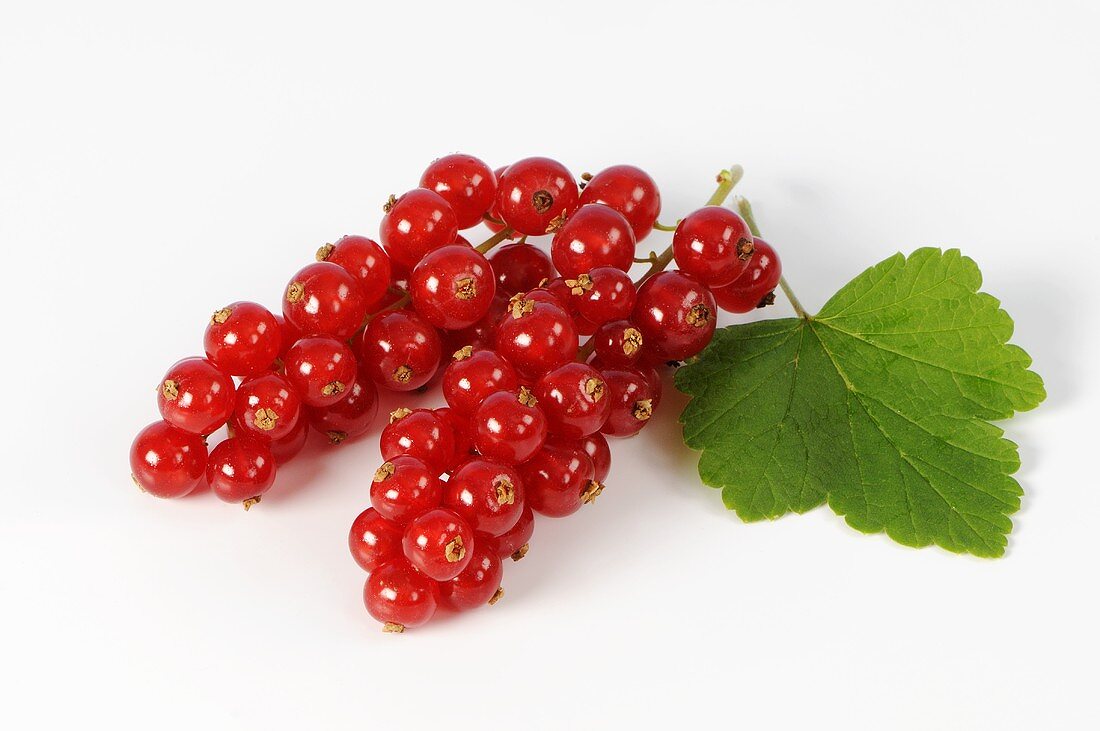 Rote Johannisbeeren mit Blatt