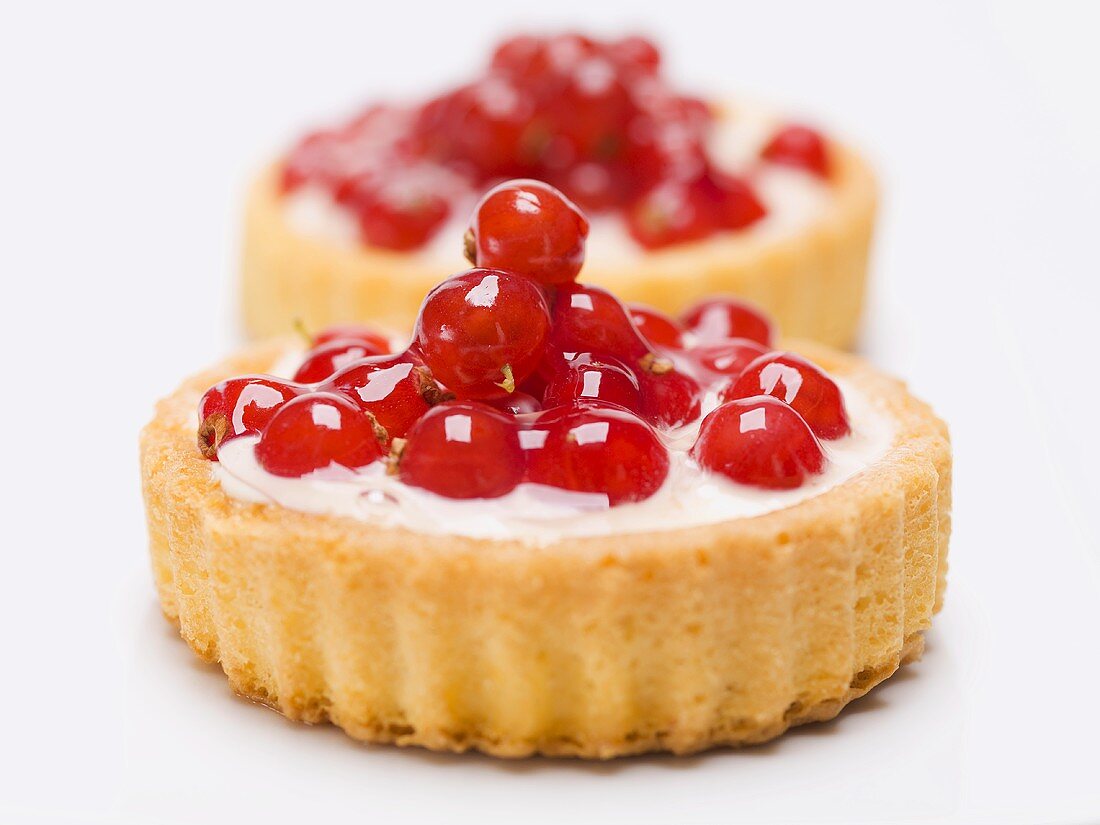 Two individual redcurrant flans with custard filling