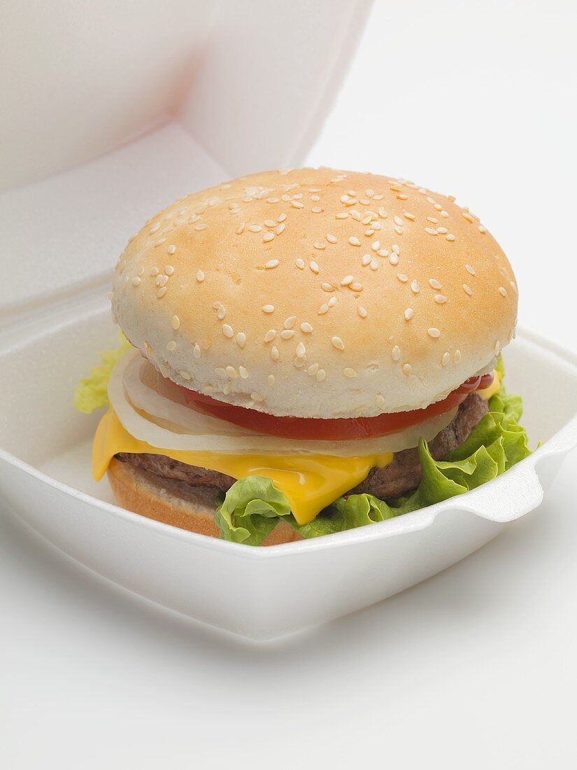 Cheeseburger in packaging