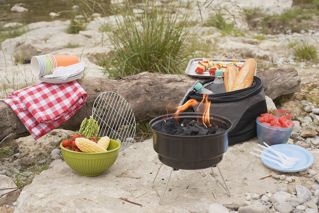 Barbecue on a river bank