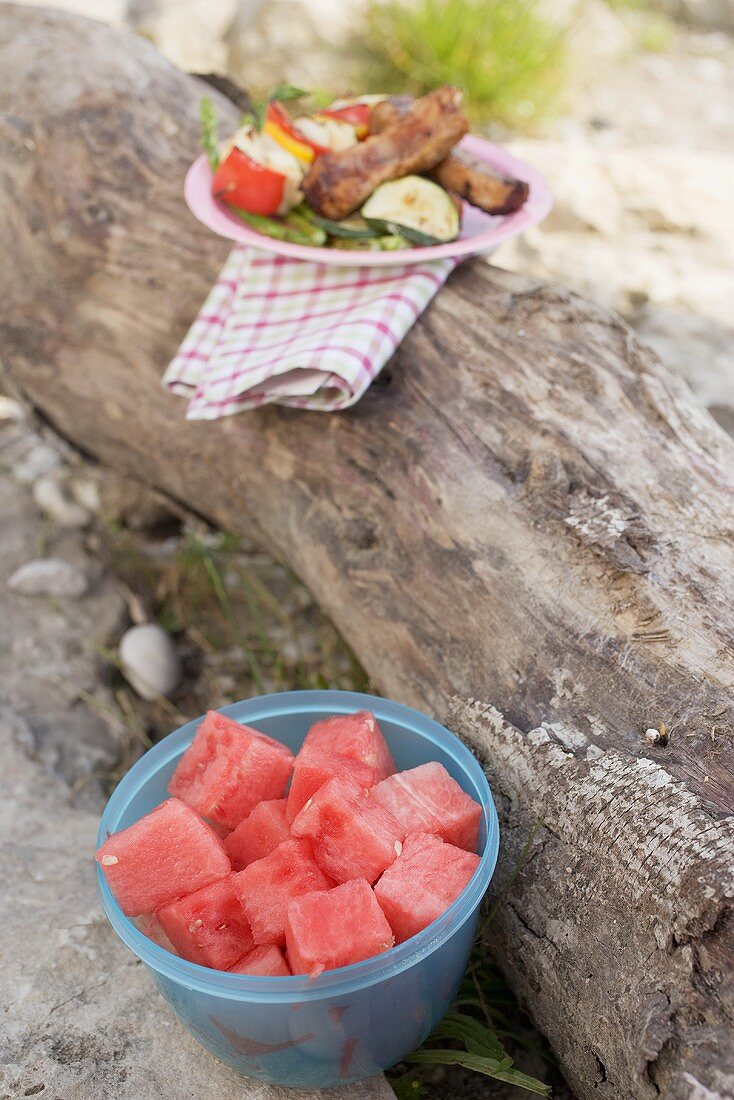 Plate of grilled food on tree trunk, bowl of diced watermelon