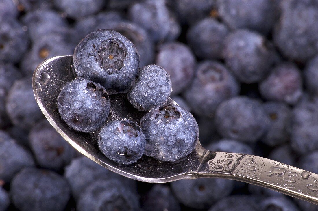 Blueberries with drops of water on spoon (close-up)