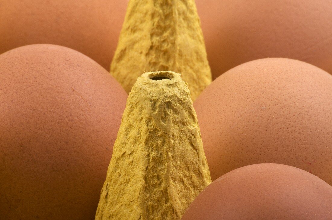 Eier im Eierkarton (Close Up)