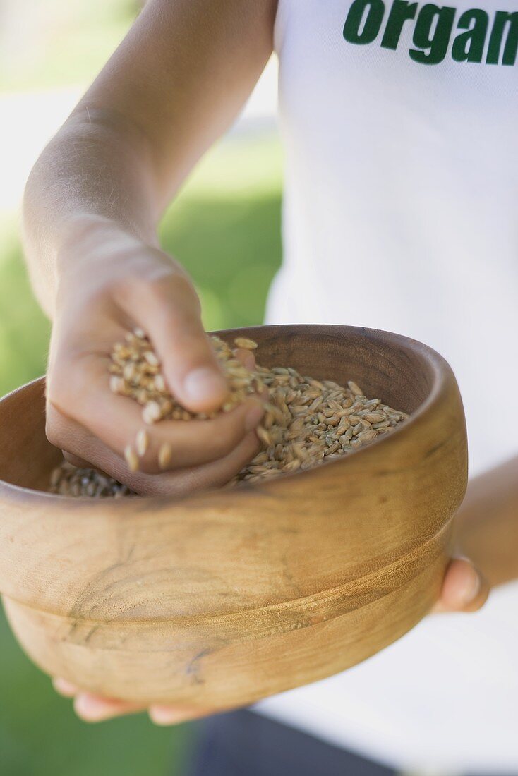 Hands holding a wooden bowl of cereal grains