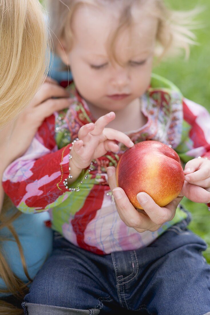 Little girl looking at nectarine in mother's hand