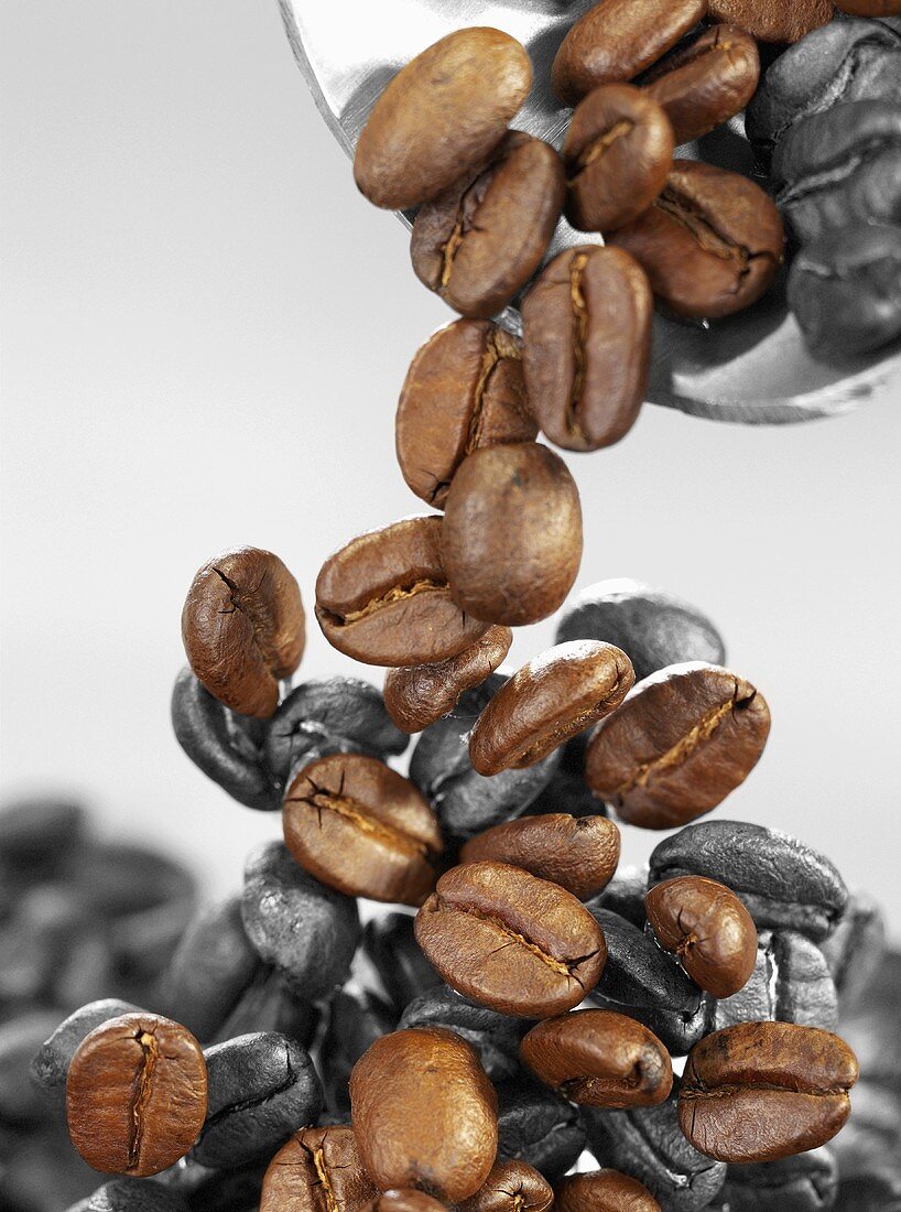 Coffee beans falling from a scoop