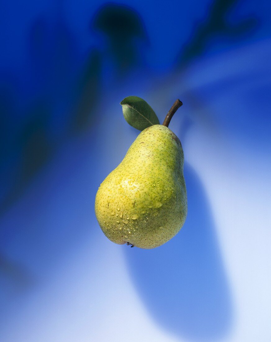 A Williams' Bon Chrétien pear