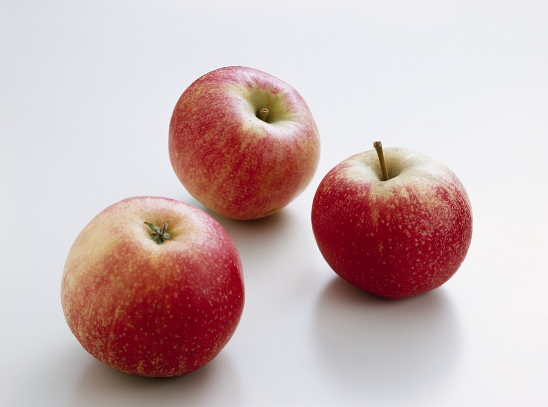 Drei Äpfel der Sorte Ingrid Marie