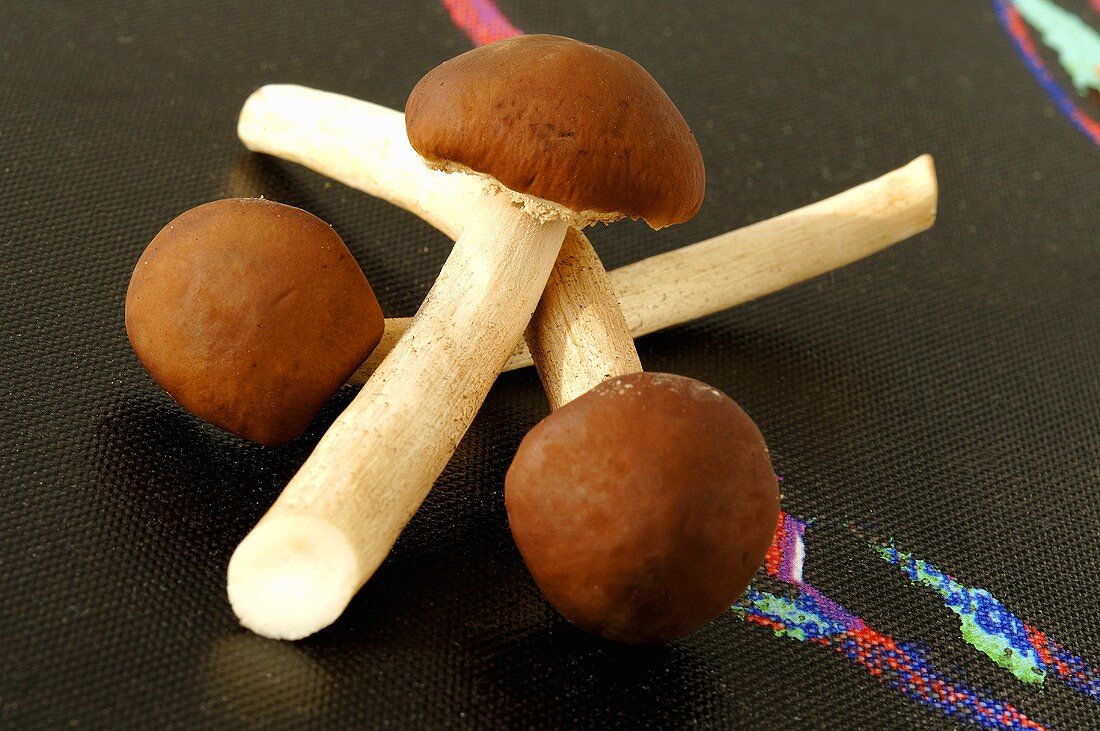 Japanese yanaki mushrooms