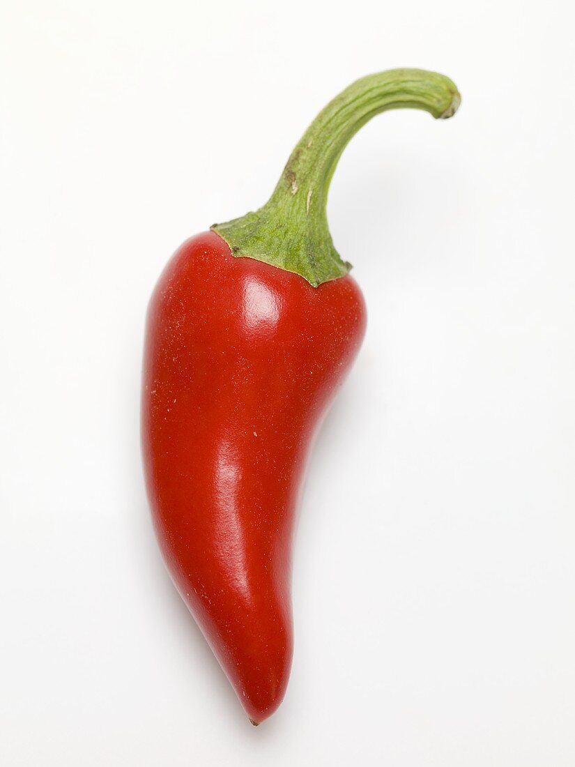 A red chilli