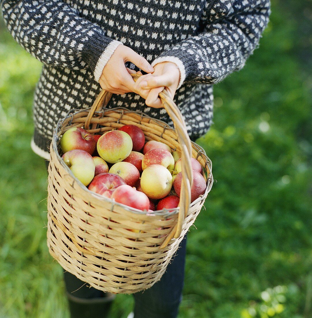 Woman carrying a basket of apples
