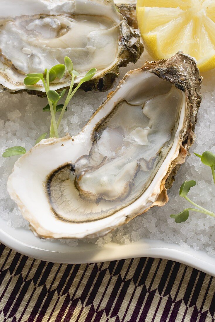 Fresh oysters with lemon on crushed ice (close-up)