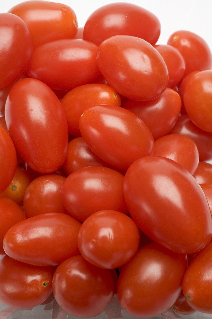 Viele Eiertomaten (Close Up)