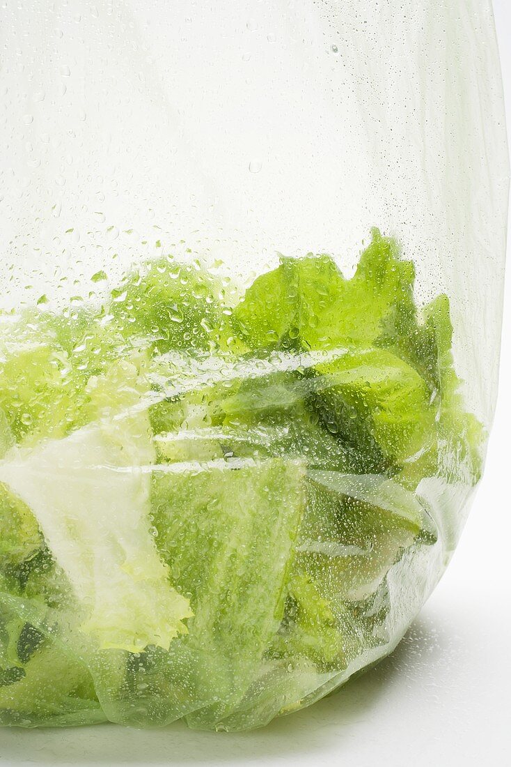 Lettuce in a plastic bag with condensation