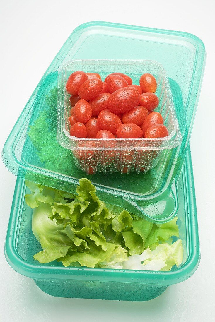 Blattsalat in Frischhaltebox, Tomaten in Plastikschale
